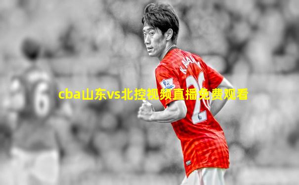 cba山东vs北控视频直播免费观看
