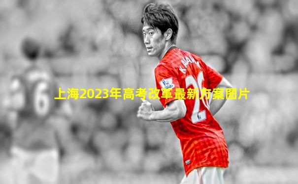 上海2023年高考改革最新方案图片