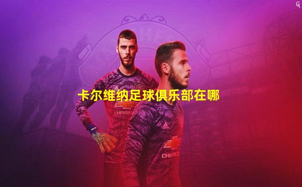 卡尔维纳足球俱乐部在哪
