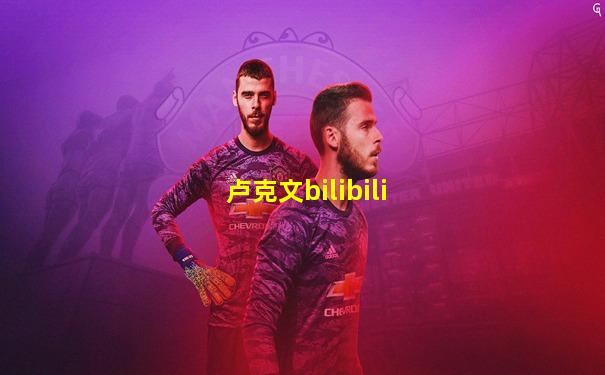 卢克文bilibili