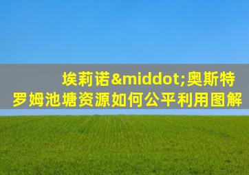 埃莉诺·奥斯特罗姆池塘资源如何公平利用图解