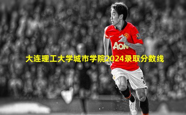 大连理工大学城市学院2024录取分数线