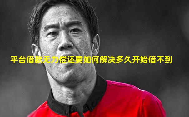 平台借款无力偿还要如何解决多久开始借不到