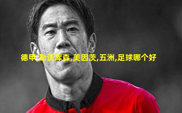 德甲,勒沃库森,美因茨,五洲,足球哪个好