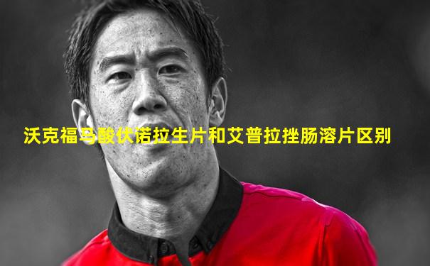 沃克福马酸伏诺拉生片和艾普拉挫肠溶片区别