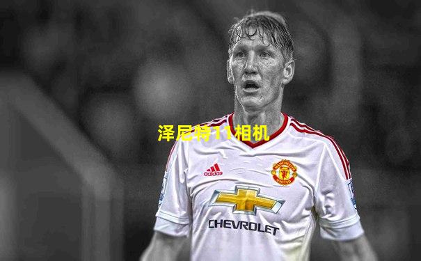 泽尼特11相机