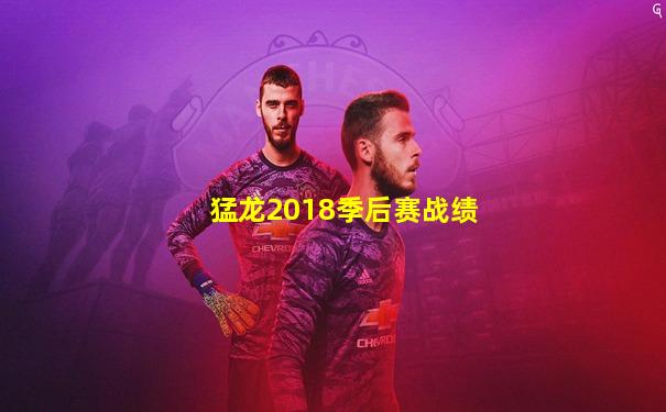 猛龙2018季后赛战绩