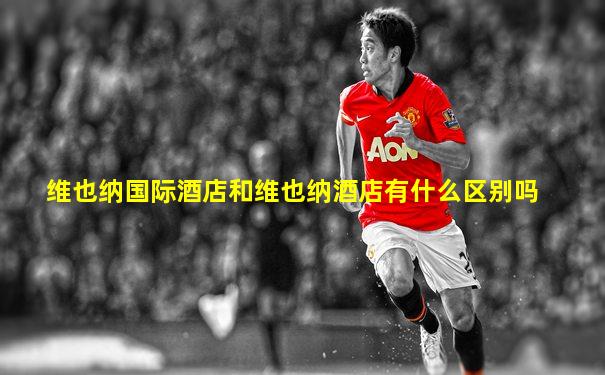 维也纳国际酒店和维也纳酒店有什么区别吗
