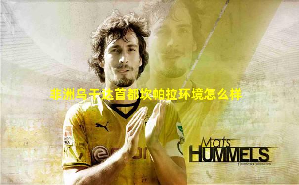 非洲乌干达首都坎帕拉环境怎么样