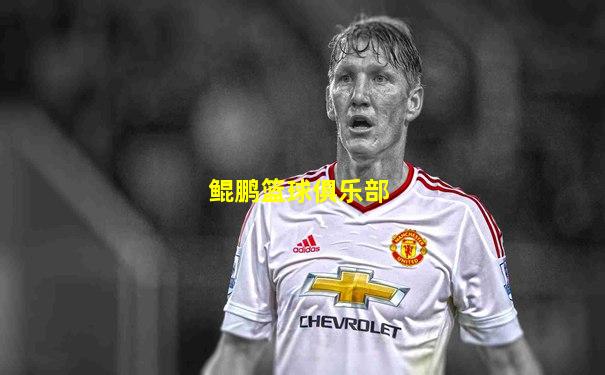 鲲鹏篮球俱乐部