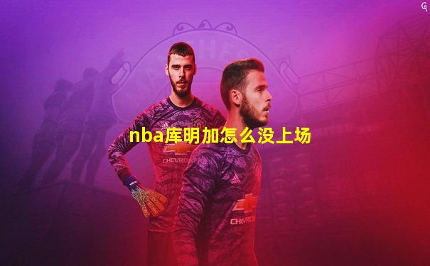 nba库明加怎么没上场