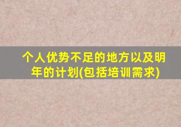 个人优势不足的地方以及明年的计划(包括培训需求)
