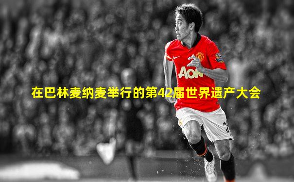 在巴林麦纳麦举行的第42届世界遗产大会