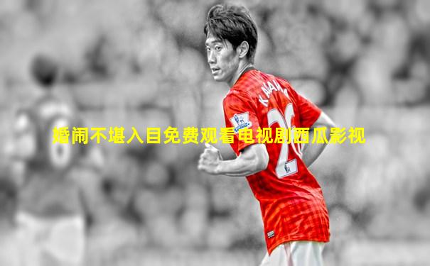 婚闹不堪入目免费观看电视剧西瓜影视
