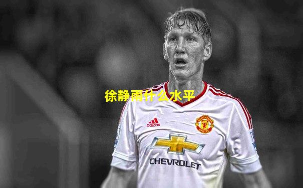 徐静雨什么水平