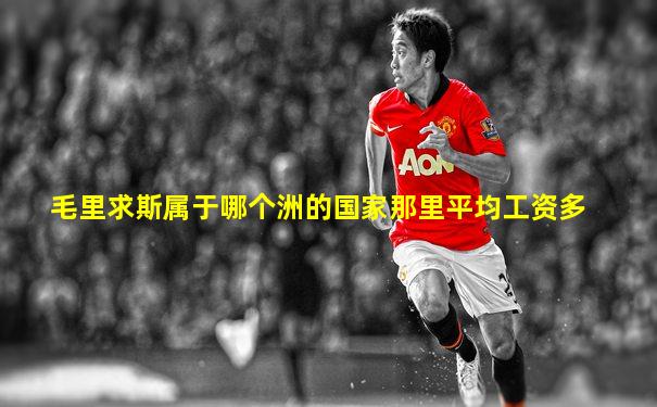 毛里求斯属于哪个洲的国家那里平均工资多