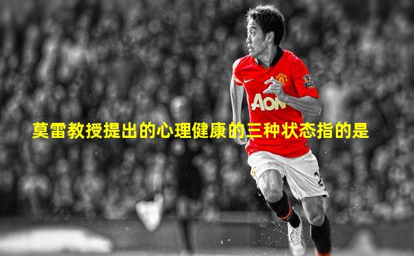 莫雷教授提出的心理健康的三种状态指的是